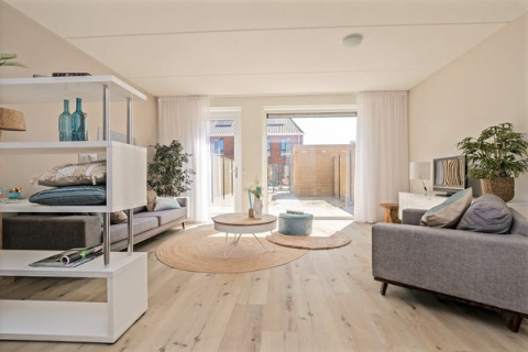 house image