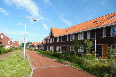 house image