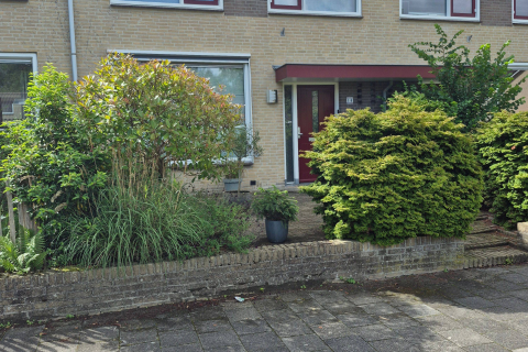 house image