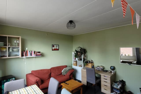 house image