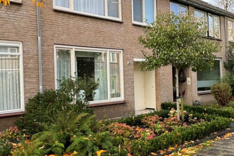 house image