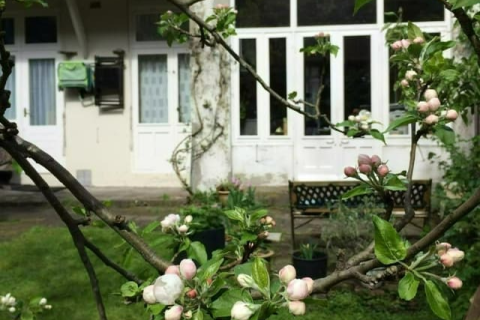 house image
