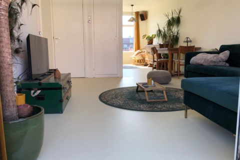 house image