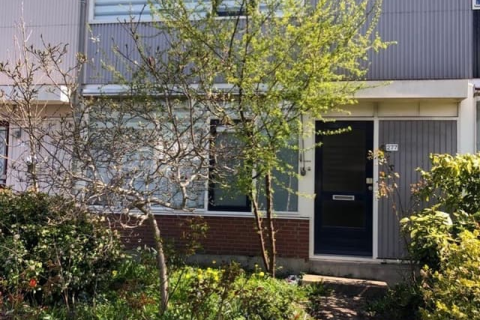 house image