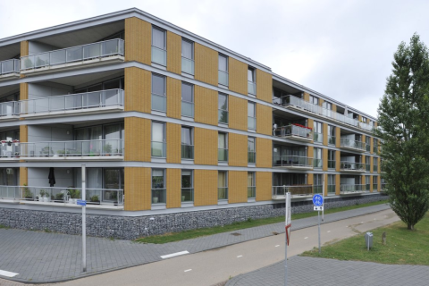 house image