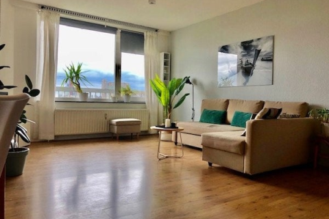 house image