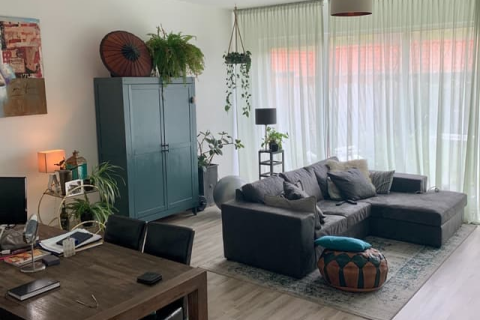 house image