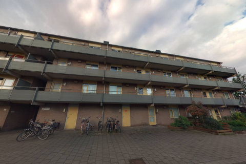 house image