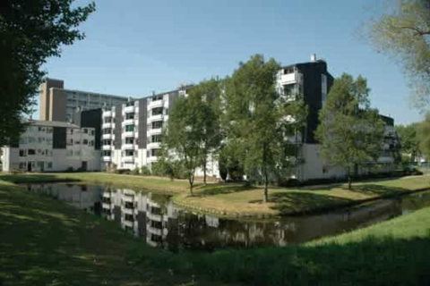 house image