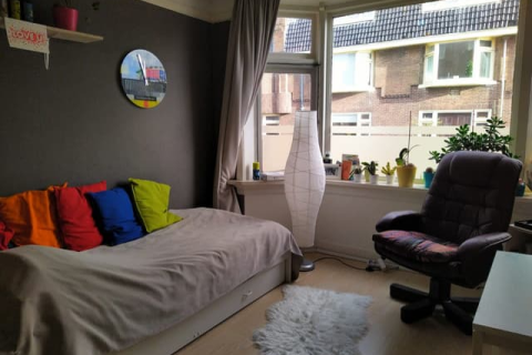 house image
