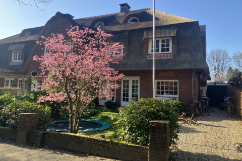 house image