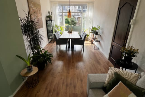 house image
