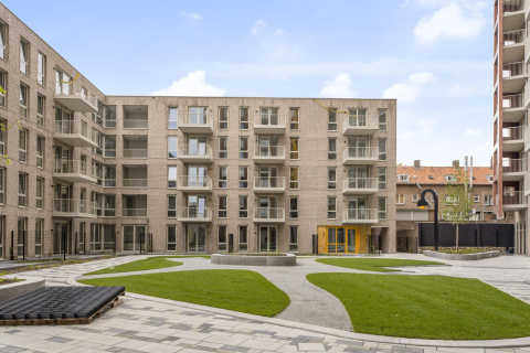 house image