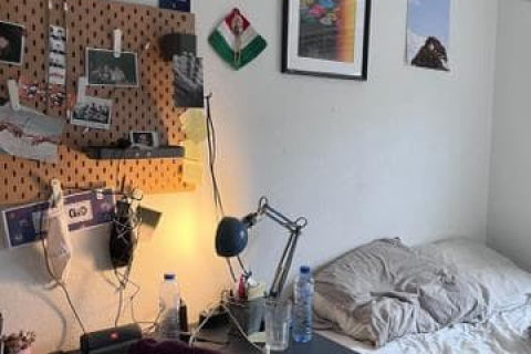 house image