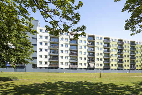 house image