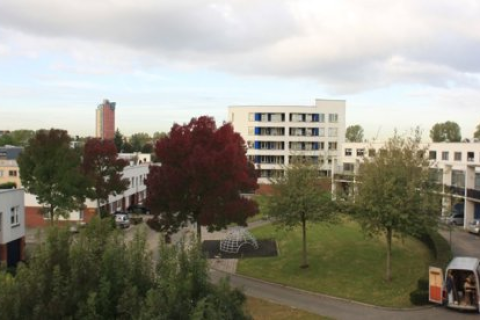 house image