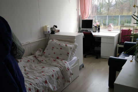 house image