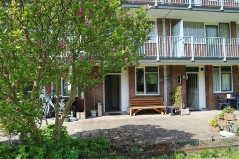 house image