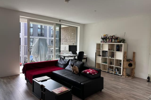 house image