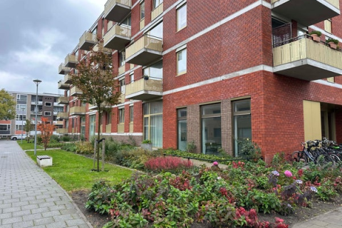 house image