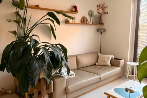 house image
