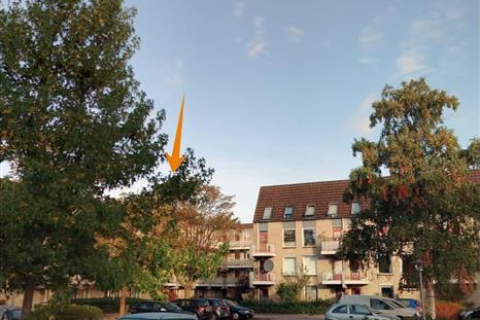 house image