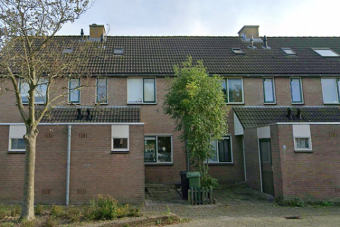 house image