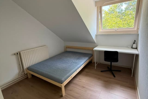 house image