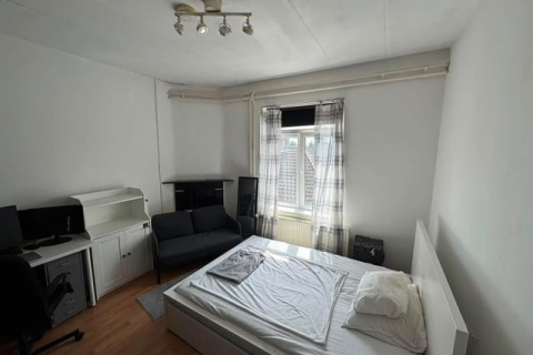 house image