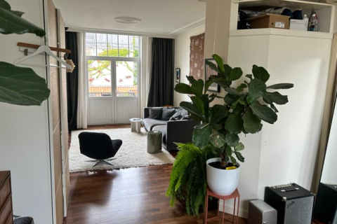 house image