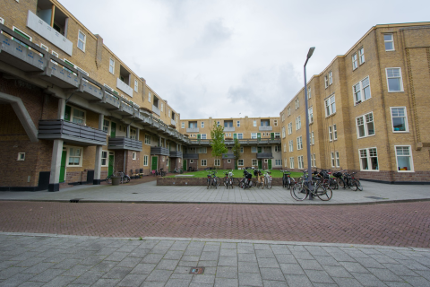 house image
