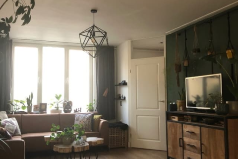 house image