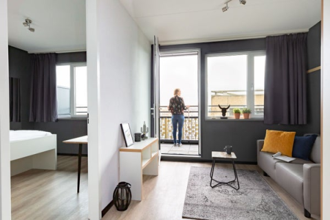 house image