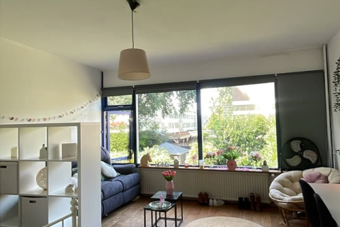 house image