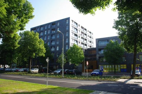 house image