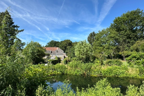 house image