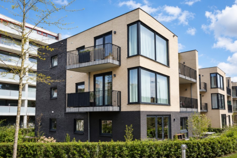 house image