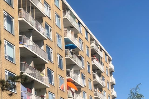 house image