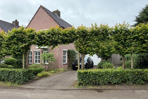 house image