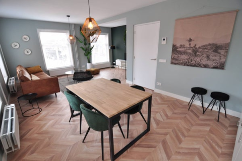 house image