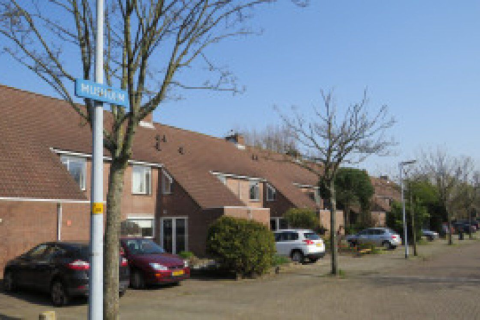 house image
