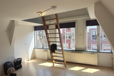 house image