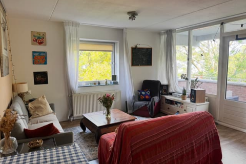 house image