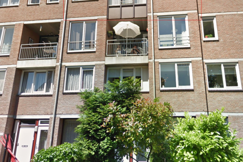 house image