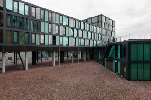 house image