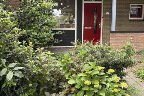 house image