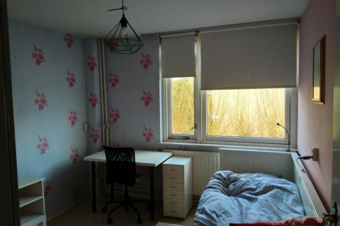 house image