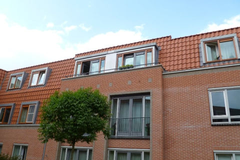 house image