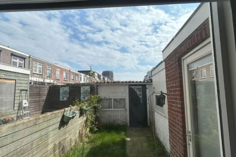 house image