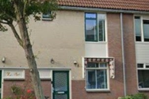 house image